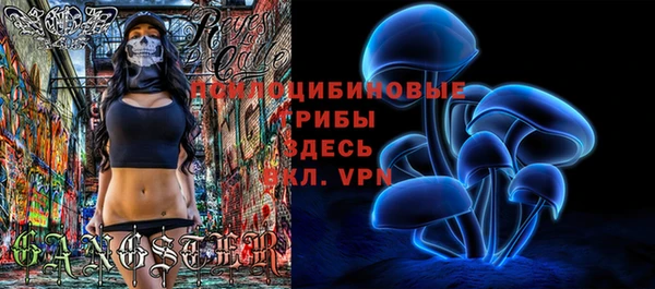 скорость Горно-Алтайск