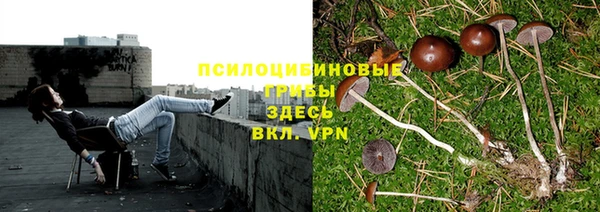 хмурый Горняк