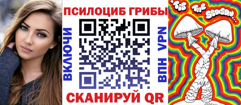 мориарти телеграм Знаменск Псилоцибиновые грибы Psilocybine cubensis