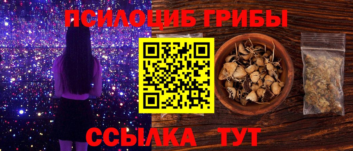 Псилоцибиновые грибы Psilocybe  Вход с VPN  Знаменск 