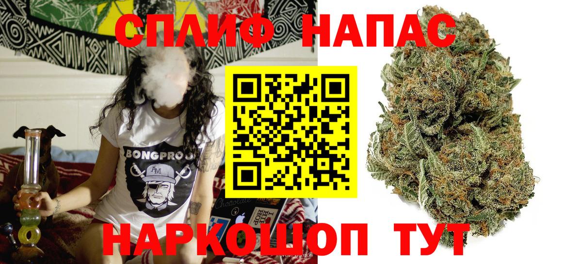Бошки марихуана тримм  Вход с VPN  Канабис индика  Знаменск  Конопля гибрид 